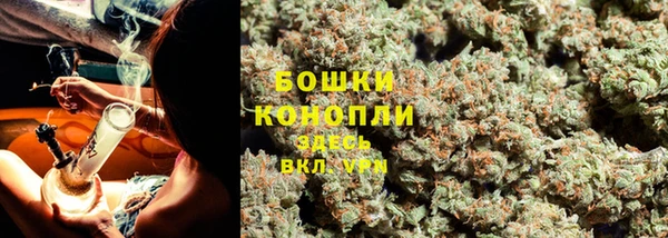 крисы Беломорск