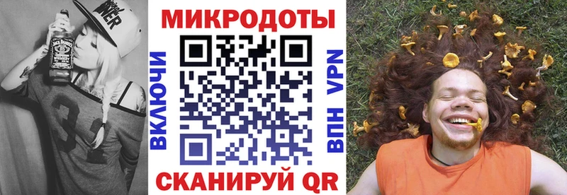 Псилоцибиновые грибы Cubensis  закладка  Куровское 