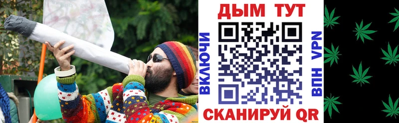 Каннабис сатива  цены   Куровское 
